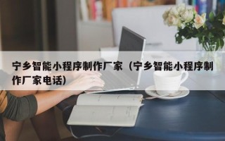 周口宁乡智能小程序制作厂家（宁乡智能小程序制作厂家电话）