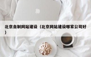 周口北京自制网站建设（北京网站建设哪家公司好）