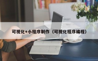 周口可视化+小程序制作（可视化程序编程）